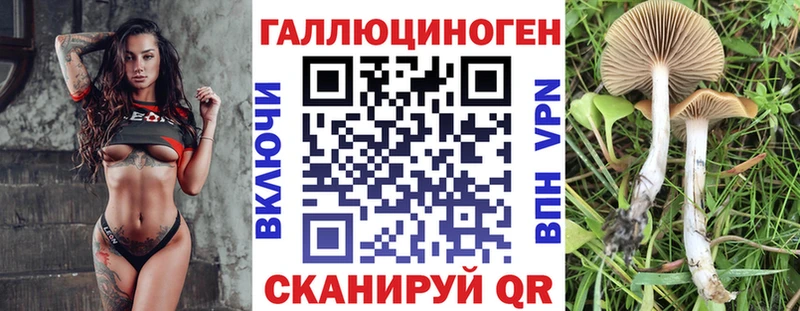 Псилоцибиновые грибы GOLDEN TEACHER  Унеча 